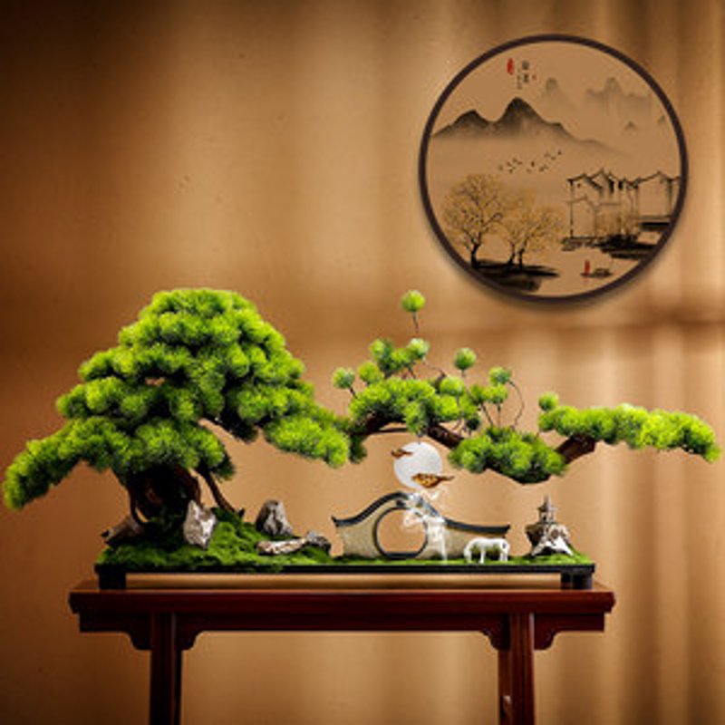 宜春黑松:城市绿色心脏的秘密